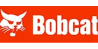 Bobcat